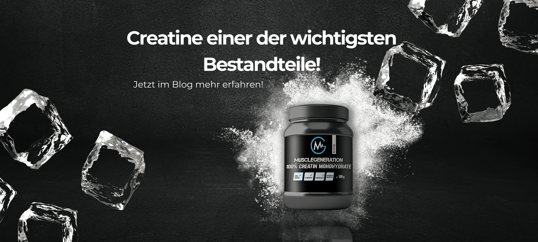 Muscle Generation Creatine einer der wichtigsten Bestandteile G2B GmbH